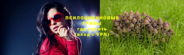 кокс Абинск