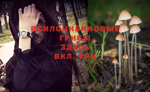 кокс Абинск