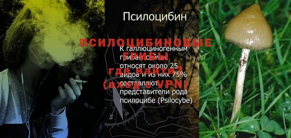 каннабис Абаза